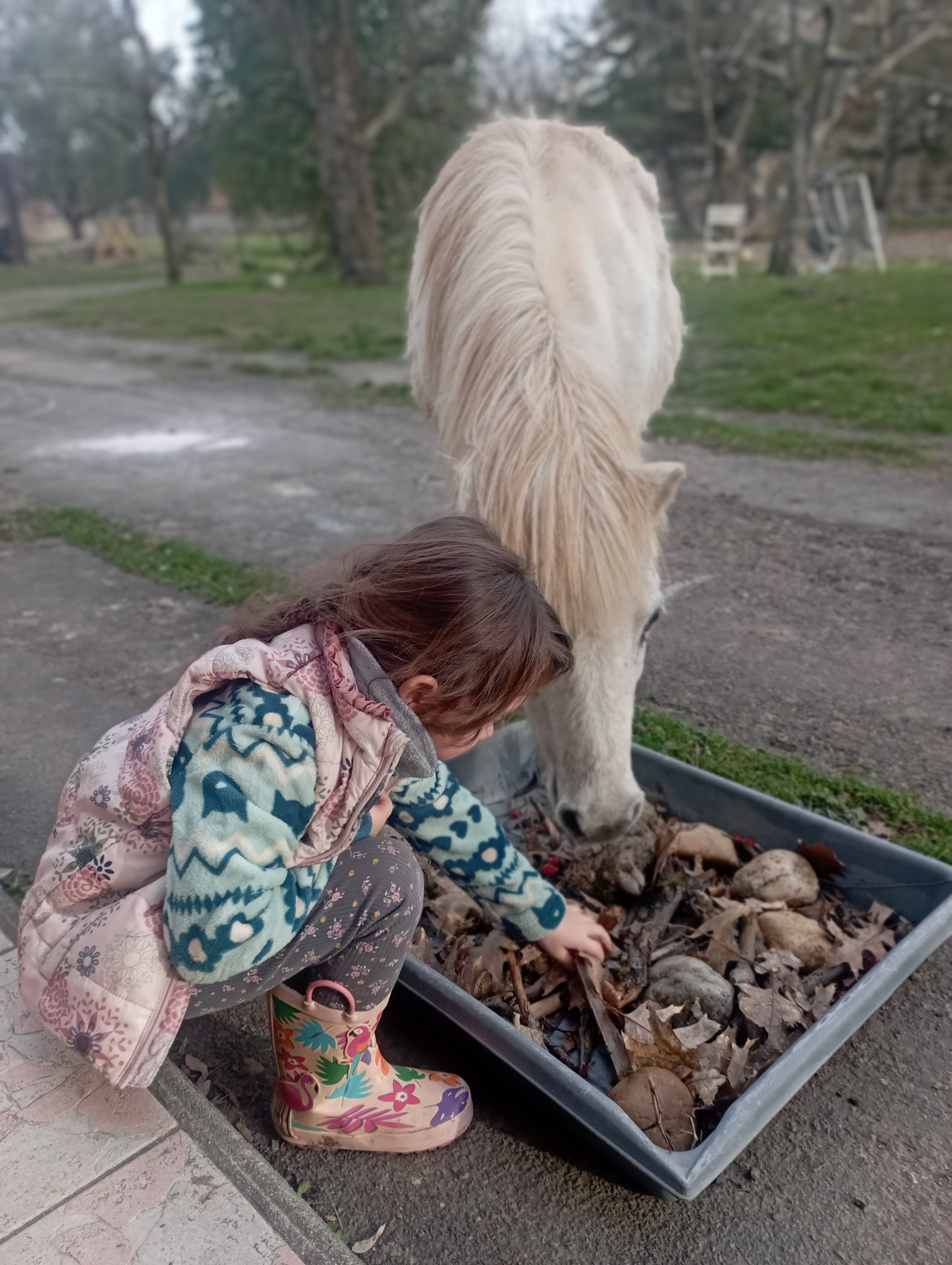 Petite fille accroupie à côté d’une ponette observant une bassine avec des feuilles mortes pendant un atelier thématique d’éthologie