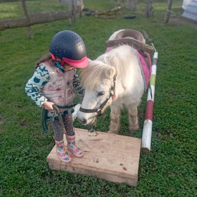 petite fille sur un socle en bois à côté d'une ponette blanche